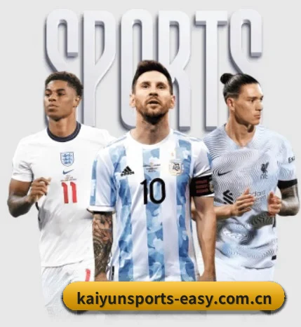 五大服务分区,信息按项目分类